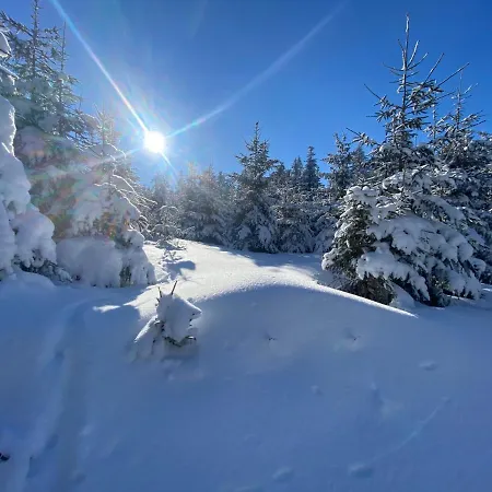 Mit Sommercard Apartment Winterberg