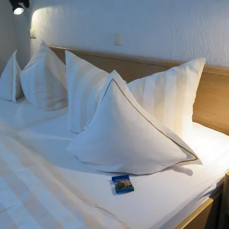 Siebenglueck - 4 Fewo's Mit Sommercard Apartmán Winterberg