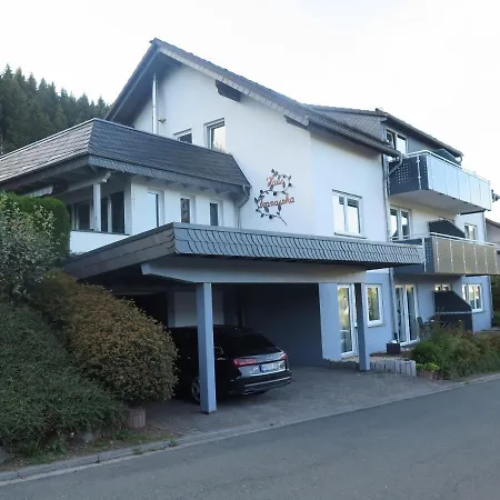 Daire Siebenglueck - 4 Fewo's Mit Sommercard Winterberg
