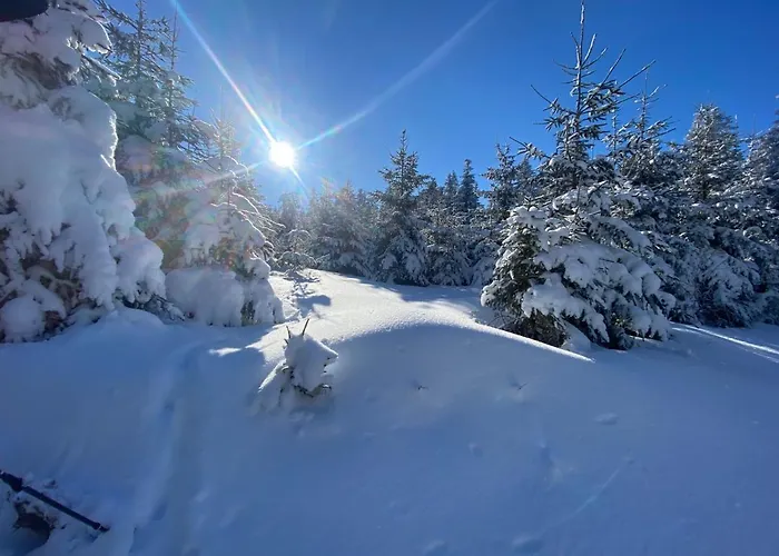 Mit Sommercard شقة وينتربرغ